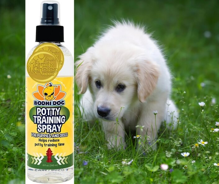 Bodhi Dog Potty Training Spray: A Comprehensive Review