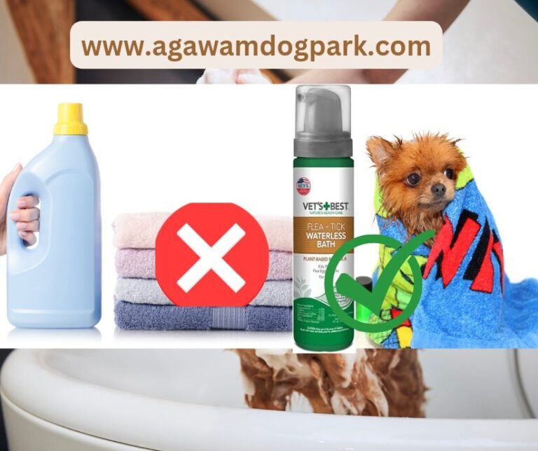 Can I use detergent to wash my dog? Find out here