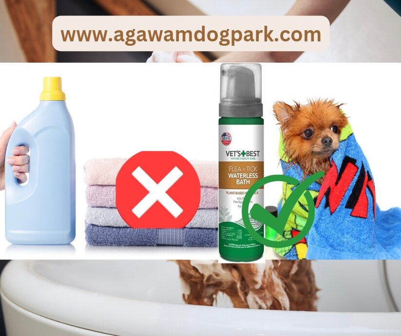 Can I use detergent to wash my dog